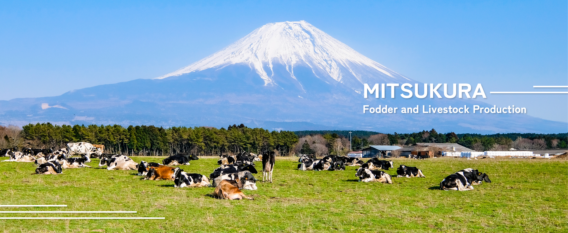 三倉飼料畜産株式会社